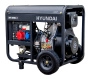 Дизельный генератор HYUNDAI DHY 8000LE-3